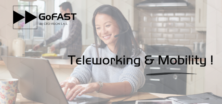 CEO-Vision teleworking and mobility